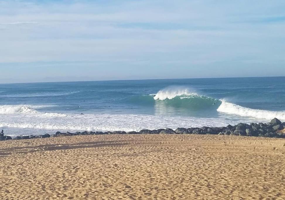 Appartement A 70M De La Plage Et L Estacade De Capbreton Esterno foto